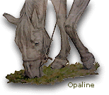 opaline.gif (14756 octets)