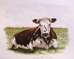 Marguerite, la vache © LVS2