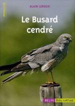 le Busard cendré © LVS2