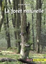 la Forêt naturelle © LVS2