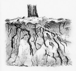 talus de latérite © LVS2