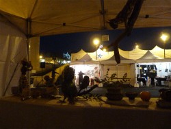 Marché de Noël à Quinçay 2016 © LVS2