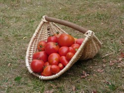 Panier tressé à anse droite © LVS2