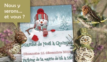 Marché de Noël à Quinçay 2016 © LVS2