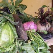 troc-plants d'automne © LVS2