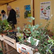 troc-plants d'automne © LVS2