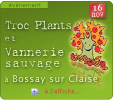 1er-Troc-Plants-d-Automne-a-Bossay-sur-Claise